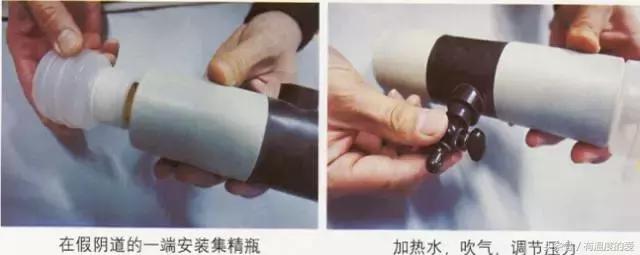 人工授精羊去哪里买,羊人工授精图文详解