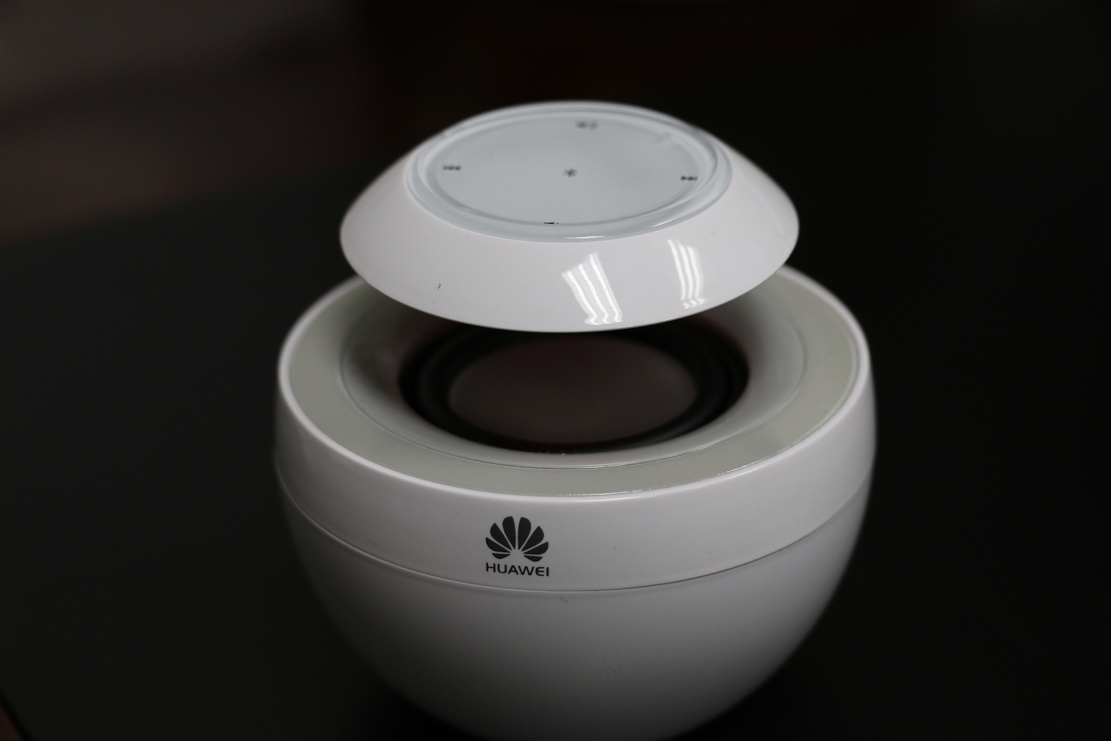 白毛浮绿水朗诵,白毛浮绿水曲项向天歌诗句