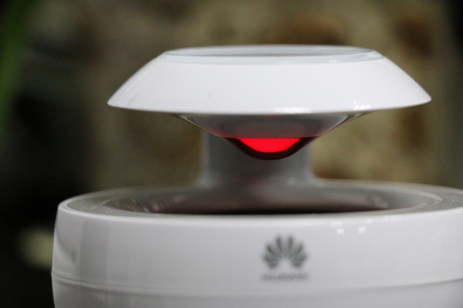 白毛浮绿水朗诵,白毛浮绿水曲项向天歌诗句