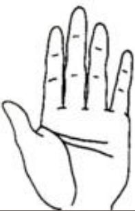 手相八个神断法,掌纹专家讲生命线