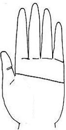 手相八个神断法,掌纹专家讲生命线