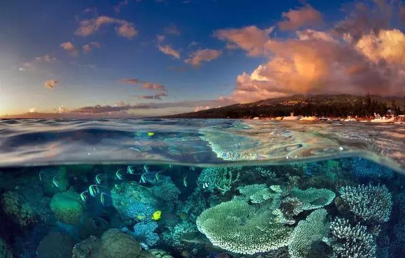 中国护照免签落地签国家,2022中国护照落地签证免签