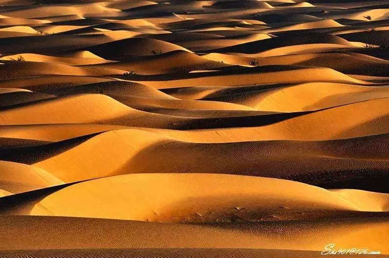 中国护照免签落地签国家,2022中国护照落地签证免签