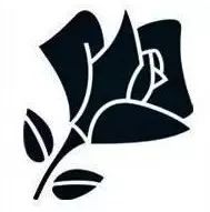 兰蔻小黑瓶100ml卖770是真的吗,兰蔻小黑瓶两百块钱真的假的