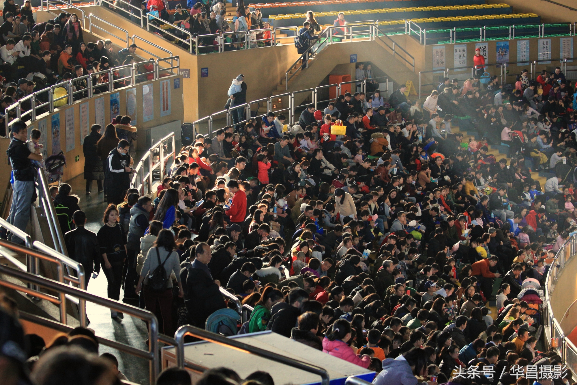 北京海洋馆海豚,北京海洋馆海豚表演时间表