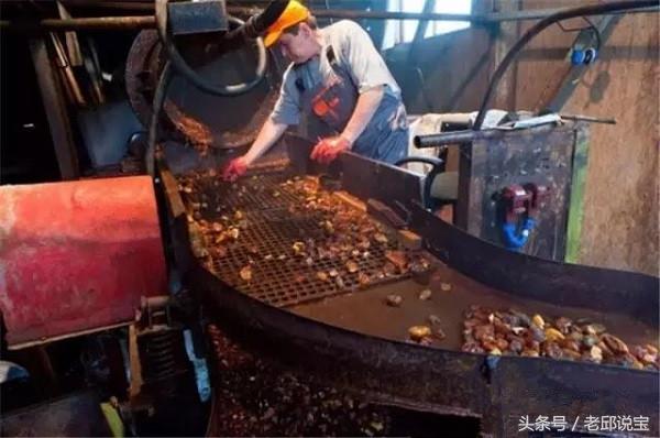 俄罗斯琥珀盗挖罚款涨百倍,普京搅动琥珀风云?!