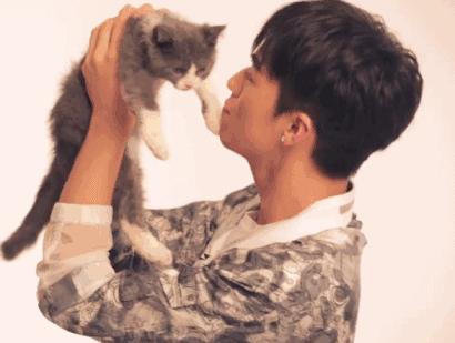 你今天养猫了吗,吸猫是怎么回事