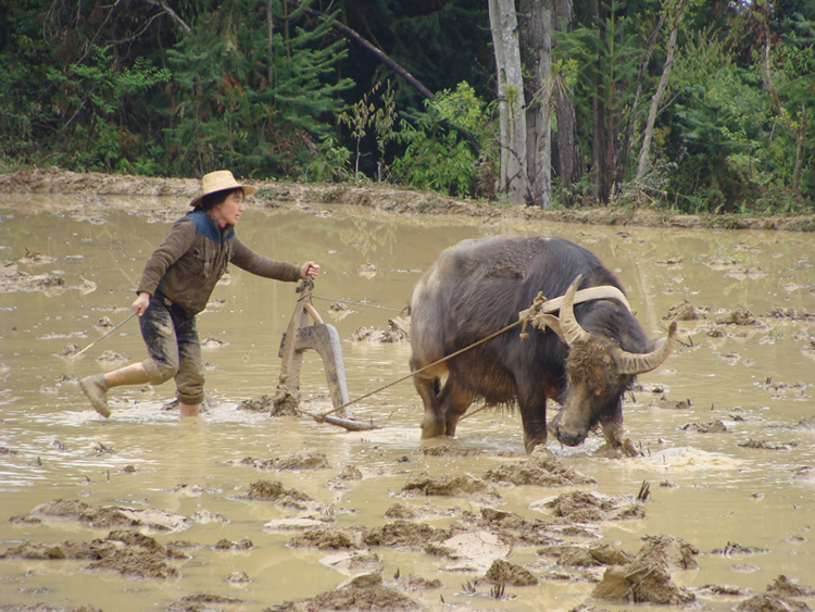 新房装修半年麻烦不断，我怀孕给婆婆一个信封，她怒了我笑弯了腰