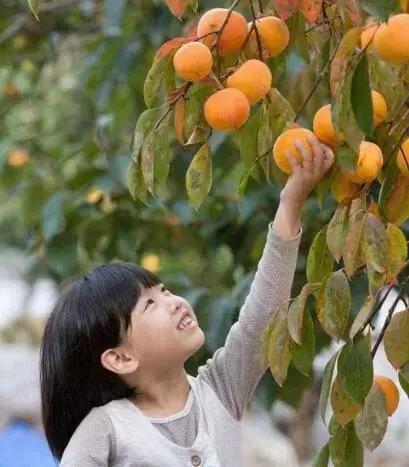 浙江采摘瓜果亲子游方案,金华采摘游最强攻略