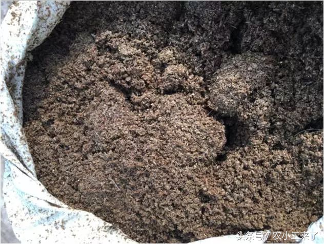 采果后使用什么肥,果园施有机肥正确方法