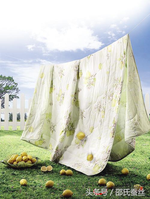 蚕丝被为什么会泛黄,蚕丝被变黄了怎么清理