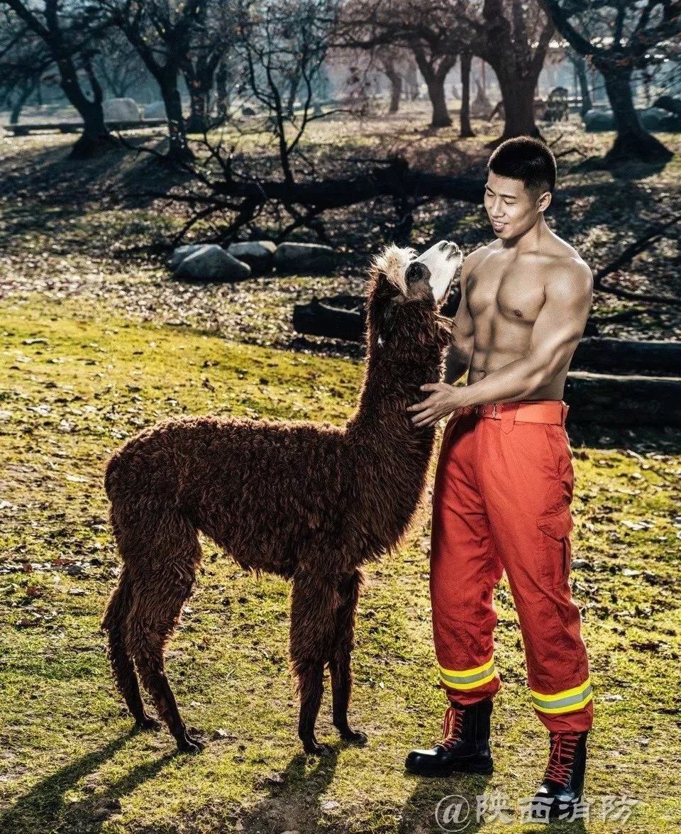 中国消防员肌肉男电影叫什么,消防员肌肉写真
