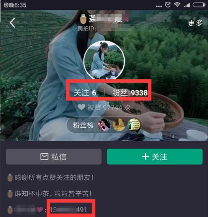 美拍卖,花茶美拍