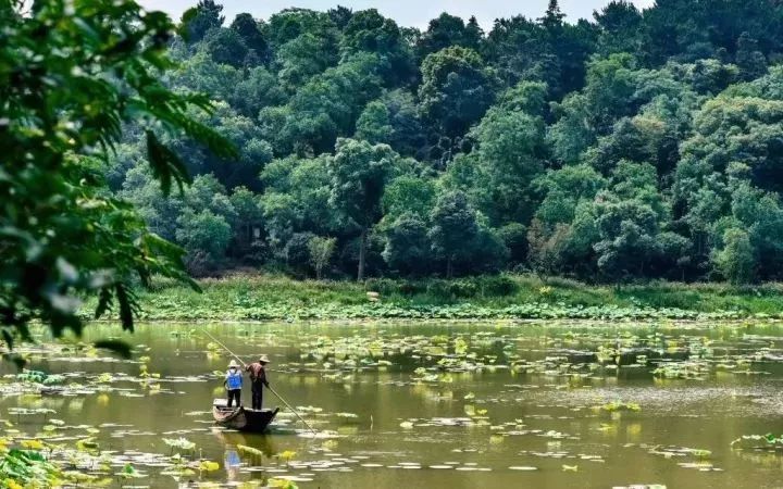 蔡甸，你凭什么这么牛？