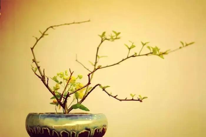 100句古今绝美句子,二十四史经典佳句30则附译文