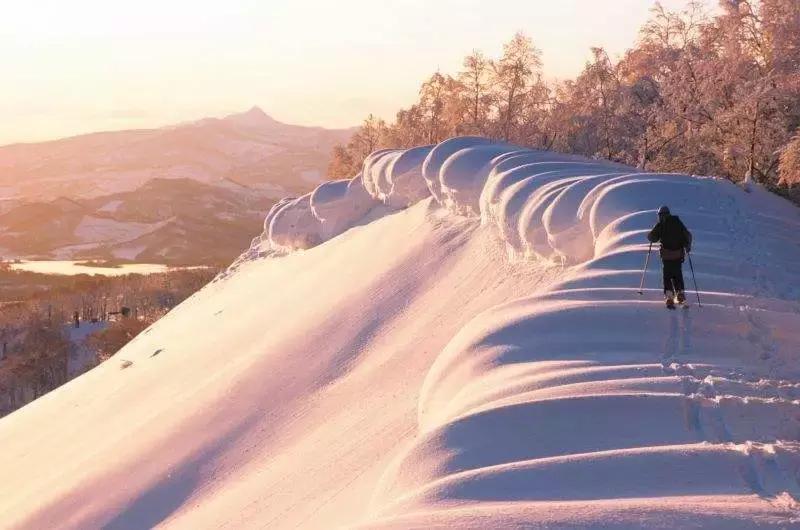冬日来滑雪场滑雪,又到了一年一度的滑雪趴