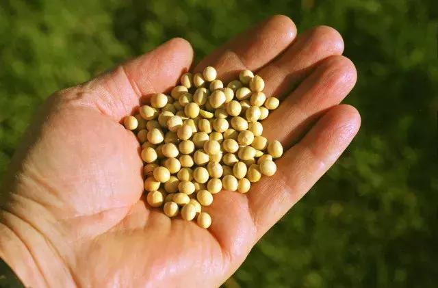 儒者的楷模，商界的精英——北京至尚福德投资管理集团白福才