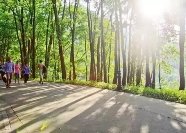 深圳攻略一日游必去景点,深圳一日游景点攻略最全