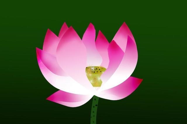 诗是空言梦是虚，一庭春艳曳红裾四月集：留取残荷诗作选二