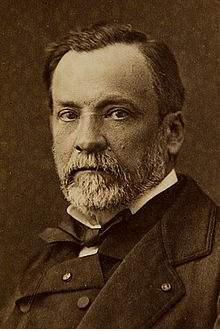 生命的左和右,生命的每一个方向