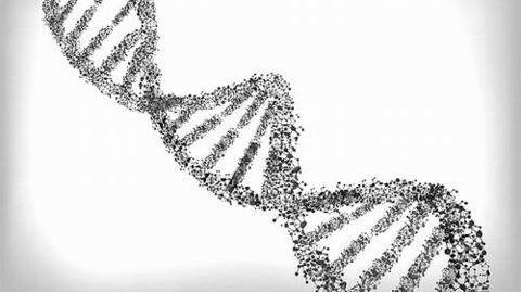 生命的左和右,生命的每一个方向