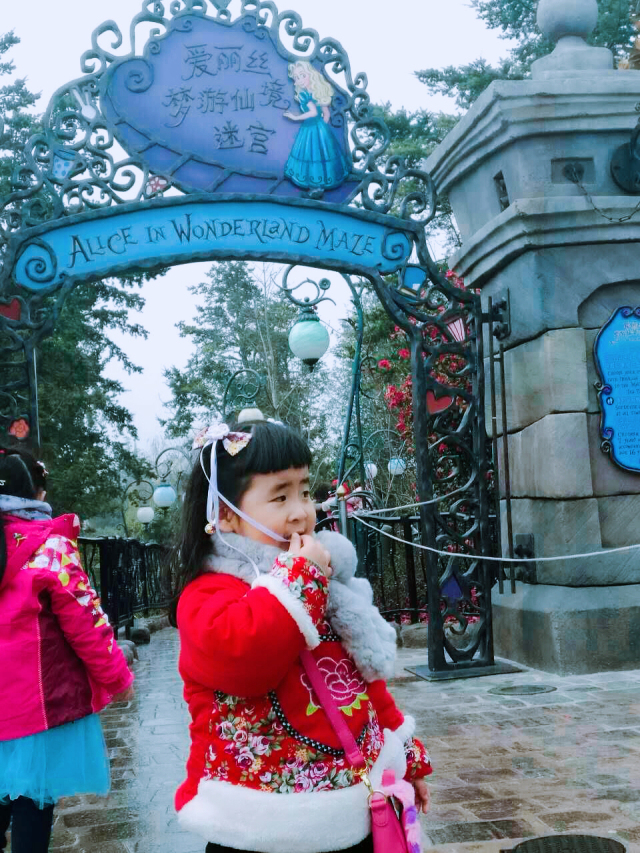 上海迪士尼吃住玩儿省钱攻略,上海迪士尼吃住行旅游攻略