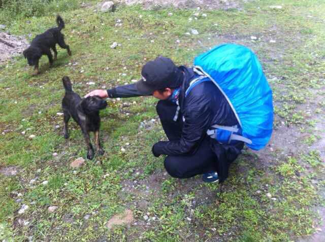 青藏线进青藏线出自驾游攻略,青藏线全程线路详细317进藏攻略