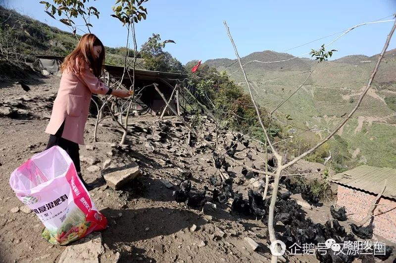 略阳县电商扶贫,略阳电商新天地