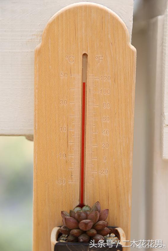 阳光房建设,怎样建造阳光房