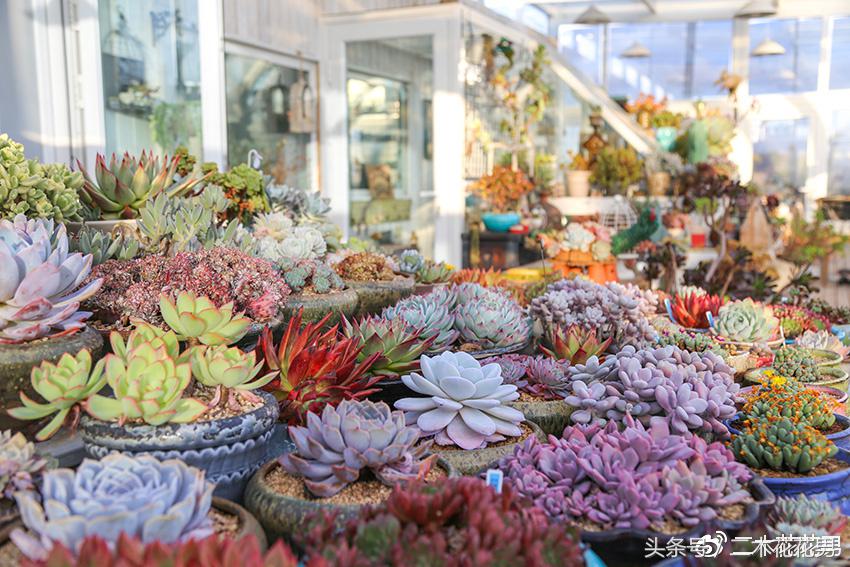 阳光房建设,怎样建造阳光房