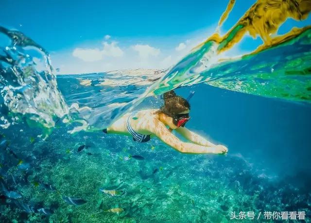 帕劳海底旅游图片,帕劳私人岛旅游推荐