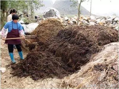 采果后使用什么肥,果园施有机肥正确方法