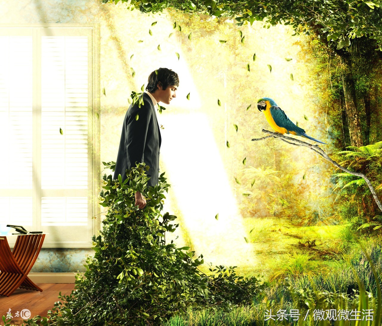 对于丑人细看是一种残忍怎么解读,钱钟书说丑人细看是一种残忍