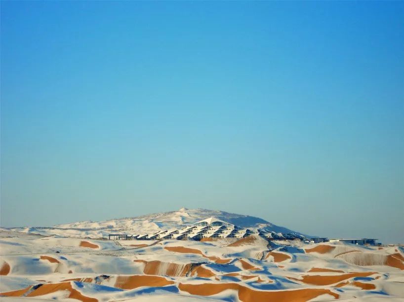 鑳藉湪娌欐紶鐪嬫槦绌虹殑閰掑簵,娌欐紶涓殑鑾茶姳閰掑簵