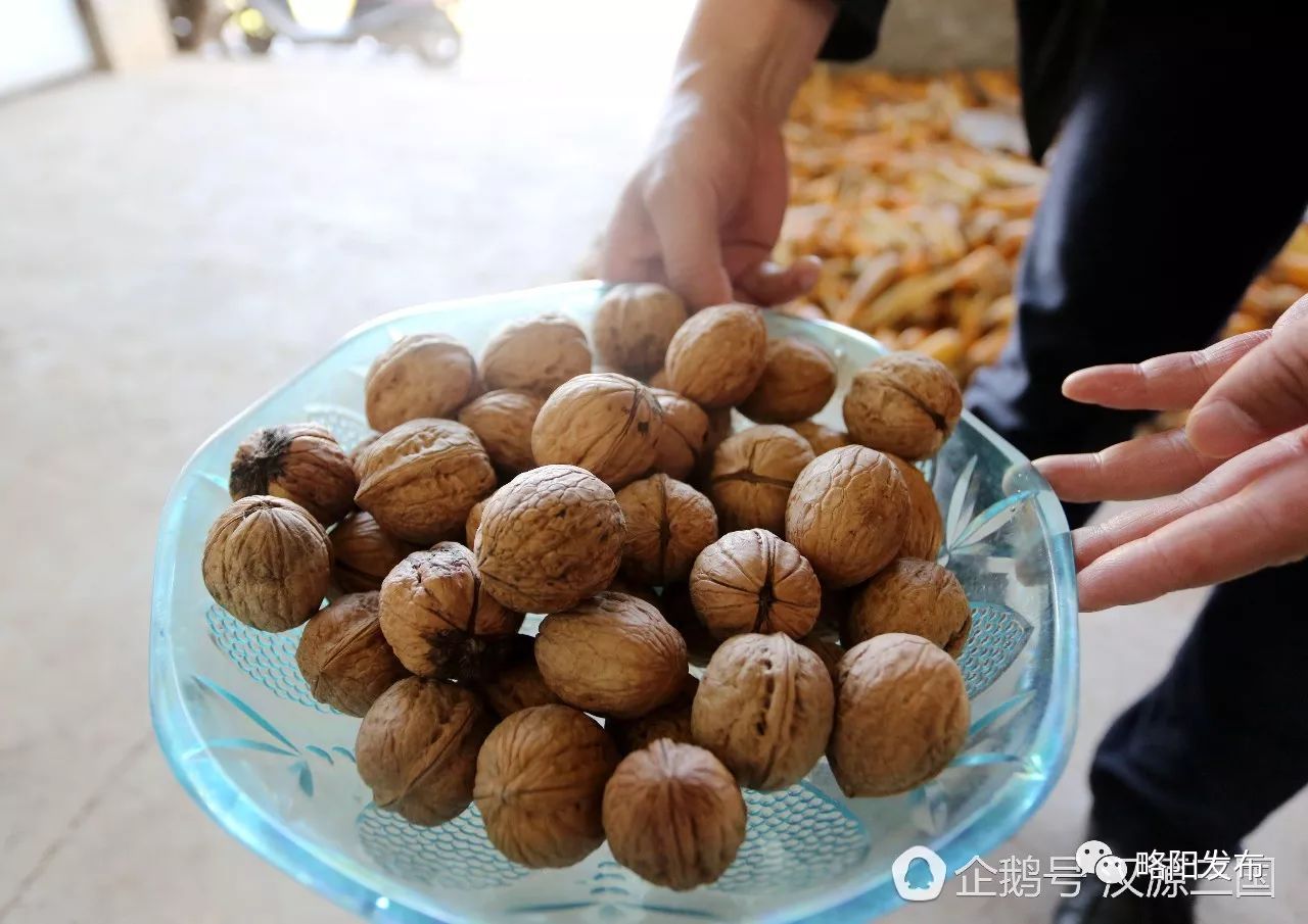 略阳县电商扶贫,略阳电商新天地