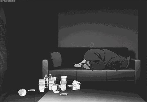 你今天养猫了吗,吸猫是怎么回事