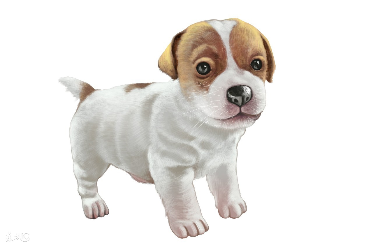 老人过世出殡时本命年要禁忌哪些,属虎本命年貔貅的佩戴十大禁忌