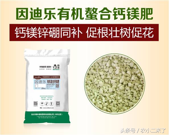 采果后使用什么肥,果园施有机肥正确方法