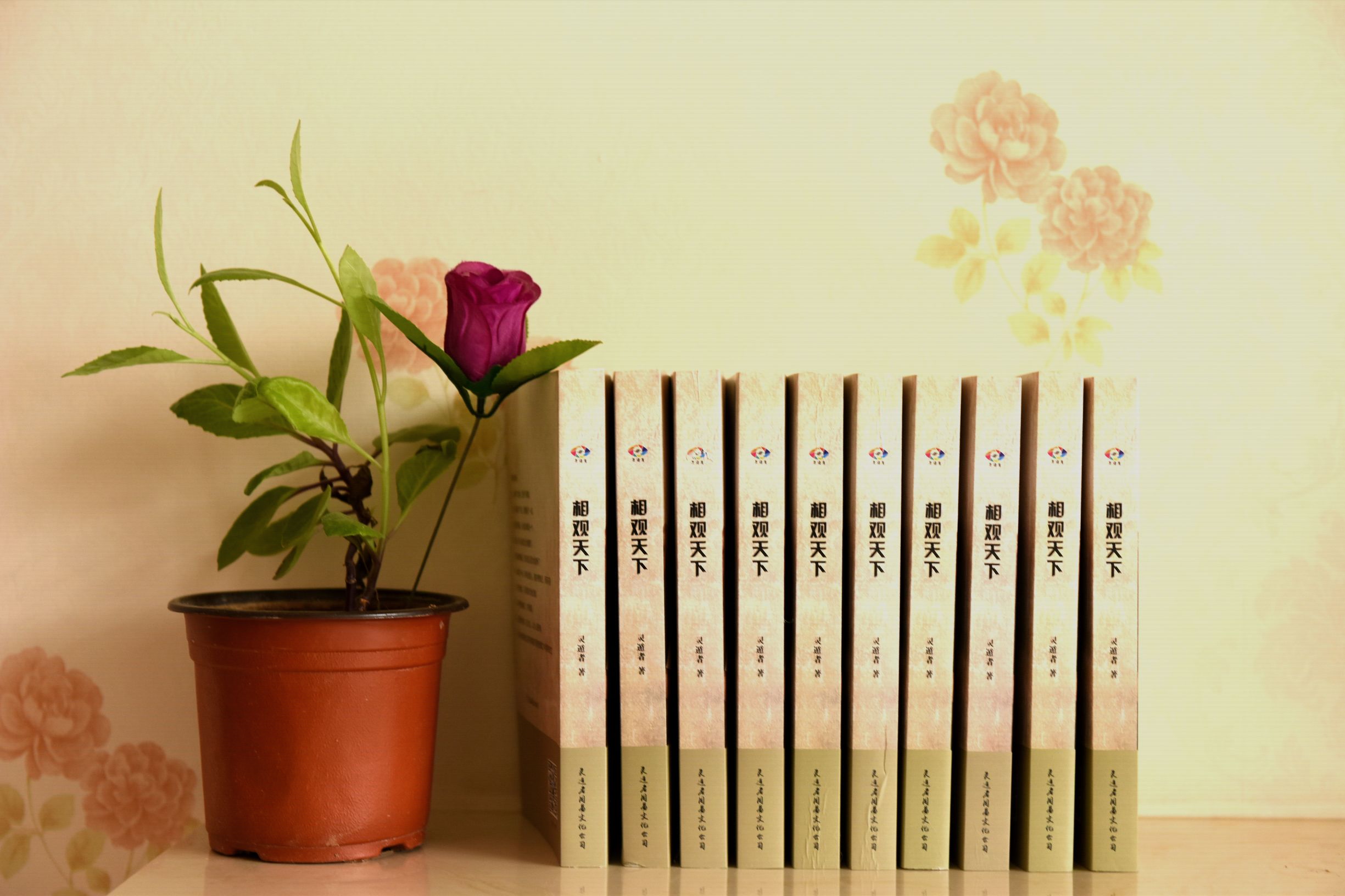 摩西是怎么带领犹太人,摩西对犹太教的影响