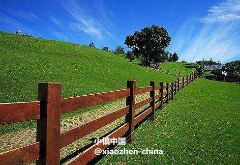 台湾清境农场，这里才是真正的清静之地！