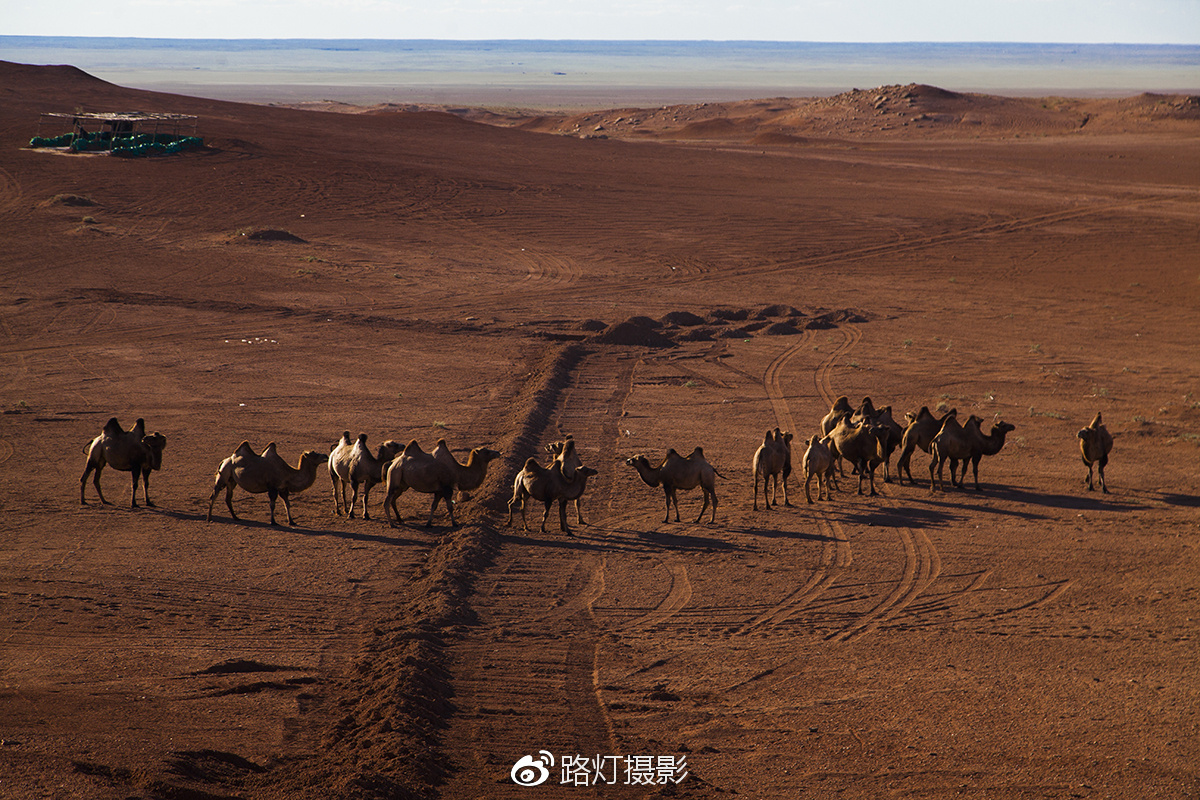 把喜欢的事做到极致诗句,能把喜欢的事做好