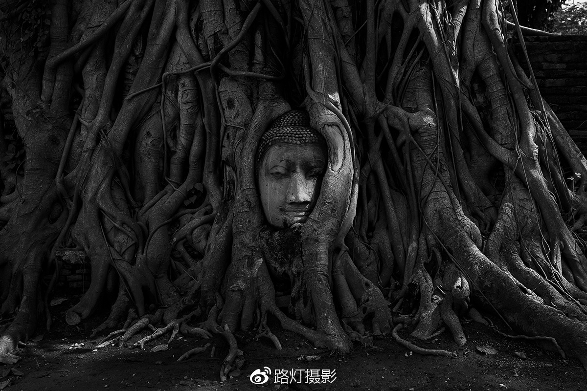 把喜欢的事做到极致诗句,能把喜欢的事做好