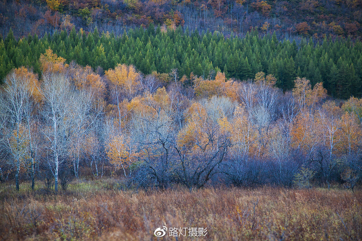 把喜欢的事做到极致诗句,能把喜欢的事做好