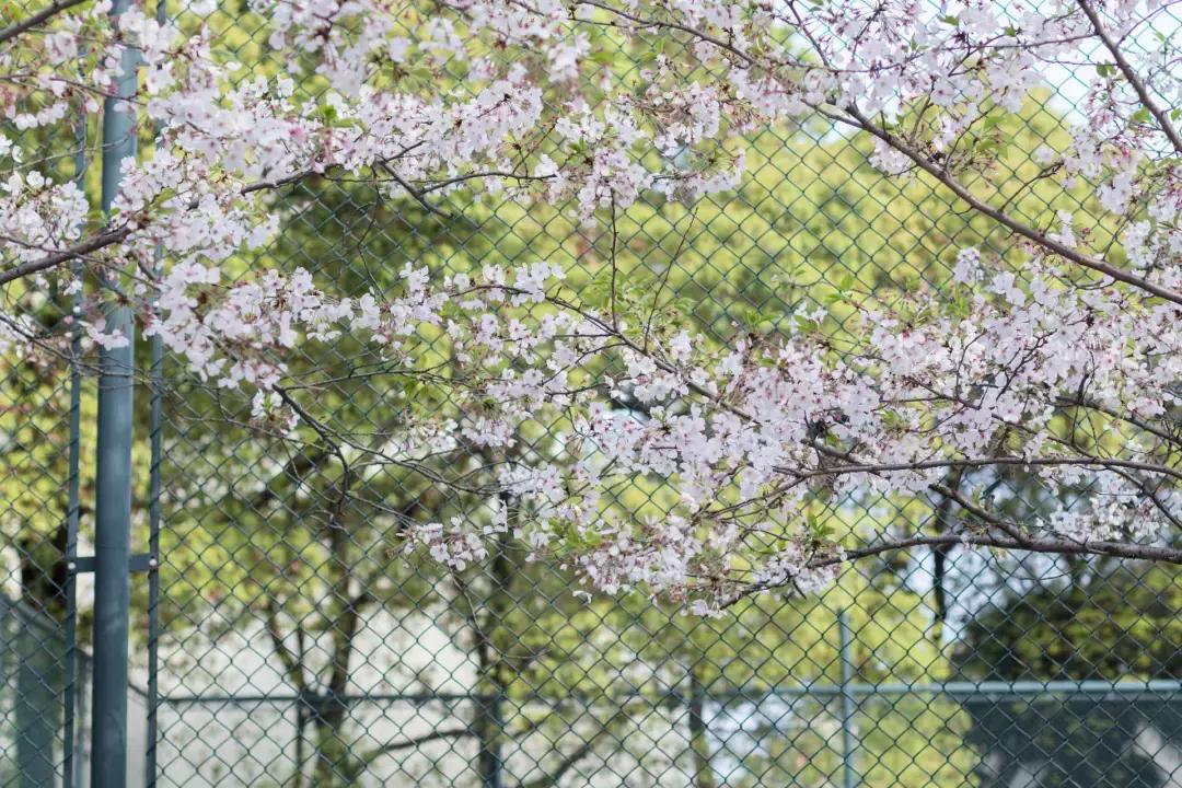 如果今年你还在常州,你会感慨自己没离开这座城市!