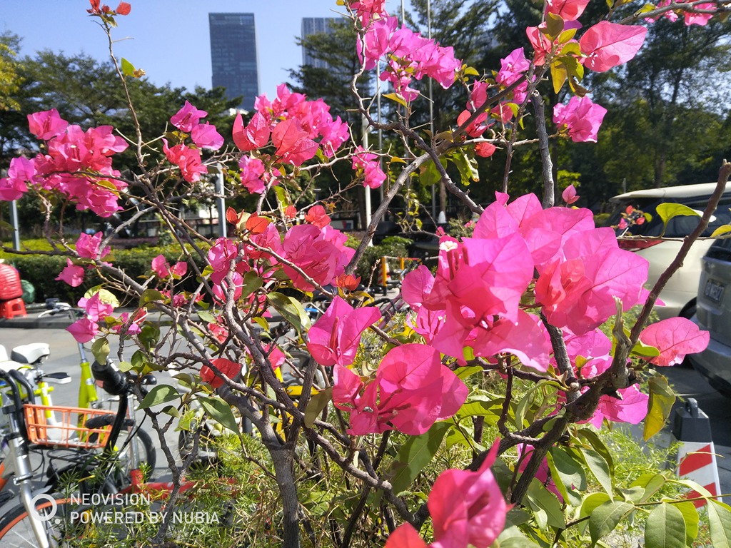 手机中的单反，真的是这样？努比亚Z17miniS评测