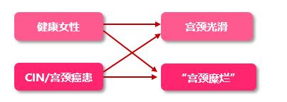 女性宫颈病的克星,女人宫颈糜烂的药