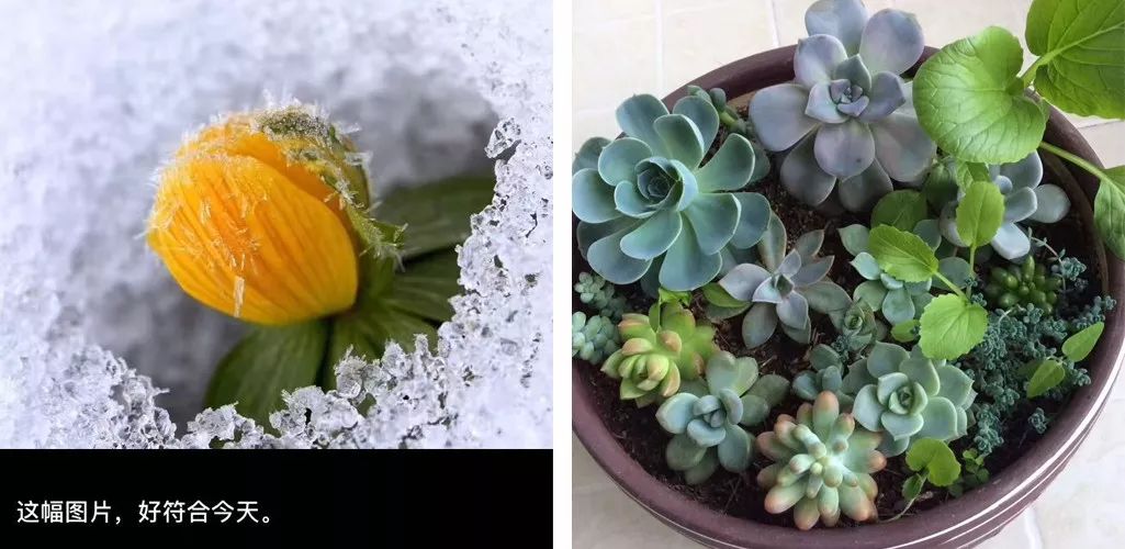 2017的最后10天,2017年的最后一天