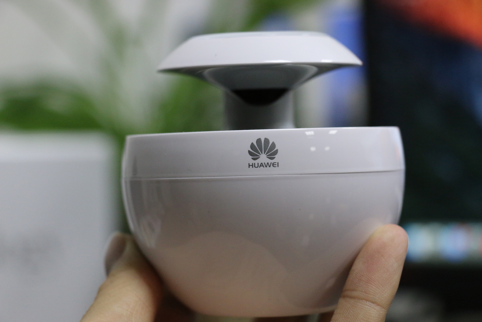 白毛浮绿水朗诵,白毛浮绿水曲项向天歌诗句