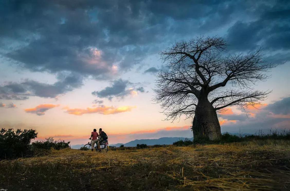 中国护照免签落地签国家,2022中国护照落地签证免签