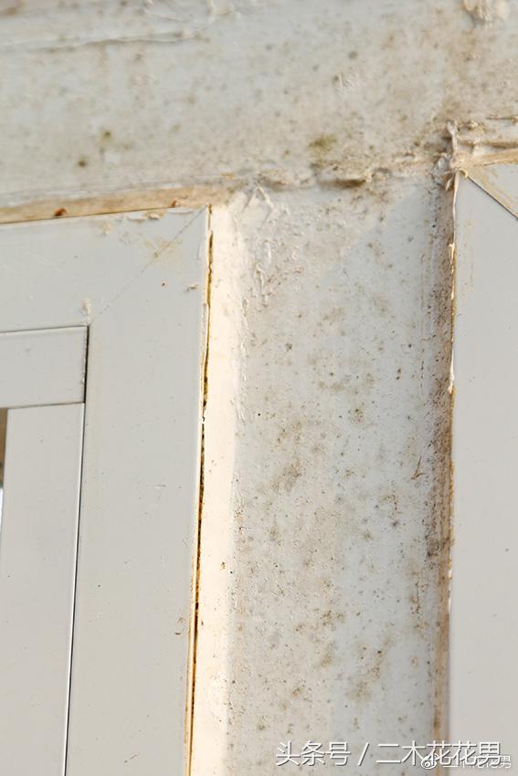 阳光房建设,怎样建造阳光房